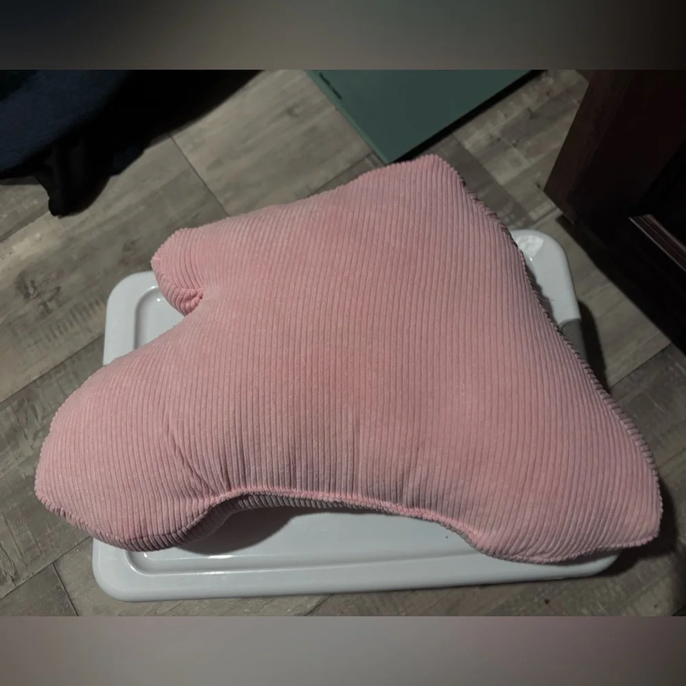 dog in car pink christmas decorative pillow